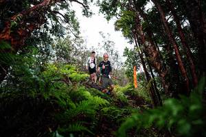 BIB: 
                            <button type="button" onclick="openModal(26204049)" class="btn btn-primary btn-sm float-right btn-popup" data-toggle="modal" data-target=".modal-high-quality">
                        <i class="fas fa-shopping-cart"></i> Add to Cart
                    </button>
                                            <button type="button" onclick="isThisMe(26204049, true)" class="btn btn-success btn-sm float-right btn-popup btn-isme hidden" data-toggle="tooltip" data-placement="bottom" title="นี่คือรูปของคุณใช่ไหม คลิกที่นี่เพื่อเอาเข้าอัลบั้ม">
                        <i class="fas fa-plus"></i> Add to album
                    </button>
                    <button type="button" onclick="isThisMe(26204049, false)" class="btn btn-warning btn-sm float-right btn-popup btn-isnotme hidden">
                        <i class="fas fa-ban"></i> Remove from album
                    </button>